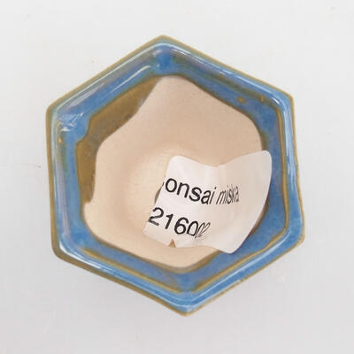 Bonsaischale aus Keramik 4 x 3,5 x 3,5 cm, Farbe blau - 3
