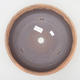 Keramische Bonsai-Schale 27,5 x 27,5 x 7 cm, Farbe rissig - 3/4
