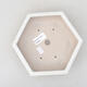 Keramische Bonsai-Schale 18 x 16 x 3,5 cm, weiße Farbe - 3/3