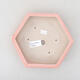 Keramik Bonsai Schüssel 18 x 16 x 3,5 cm, Farbe rosa - 3/3