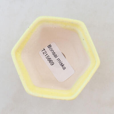 Bonsaischale aus Keramik 7 x 6,5 x 5 cm, Farbe gelb - 3
