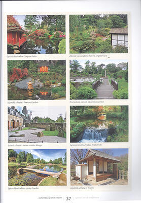 Bonsai und Japanische Gärten Nr.67 - 3