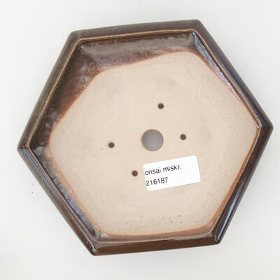 Bonsaischale aus Keramik 17 x 14 x 3,5 cm, Farbe braun - 3