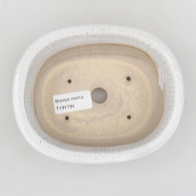 Keramik Bonsai Schüssel 15 x 12 x 5,5 cm, Krebse Farbe - 3
