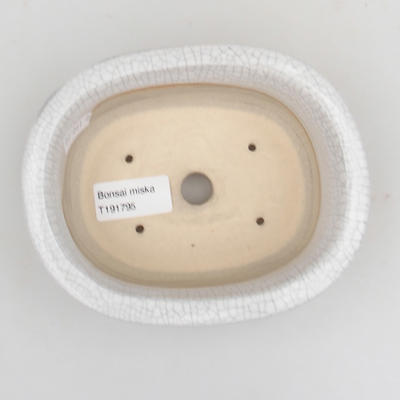 Keramik Bonsai Schüssel 15 x 12 x 5,5 cm, Krebse Farbe - 3