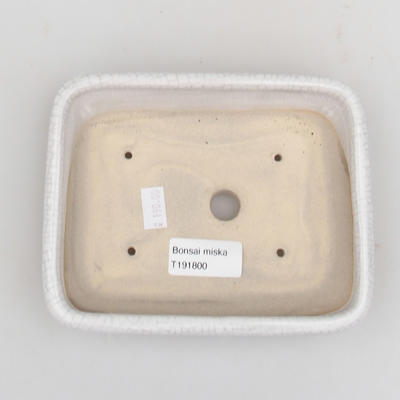Keramik Bonsai Schüssel 16 x 13 x 3 cm, Krebse Farbe - 3
