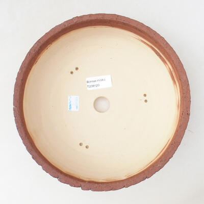 Bonsaischale aus Keramik 23,5 x 23,5 x 7,5 cm, Farbe Rissgelb - 3
