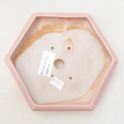 Bonsaischale aus Keramik 13 x 15 x 3,5 cm, Farbe rosa - 3
