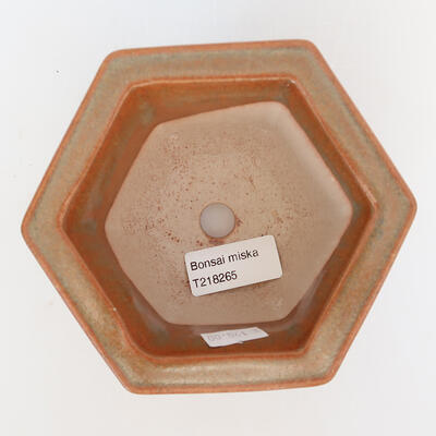 Keramik-Bonsaischale 13,5 x 12 x 8 cm, Farbe braun - 3
