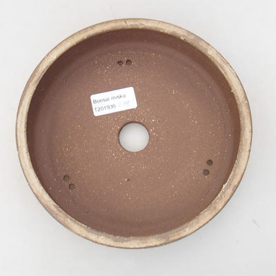 Keramik Bonsai Schüssel 18 x 18 x 4,5 cm, beige Farbe - 3
