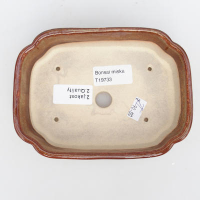 Keramik-Bonsaischale - im Gasofen 1240 ° C gebrannt - 2. Qualität - 3