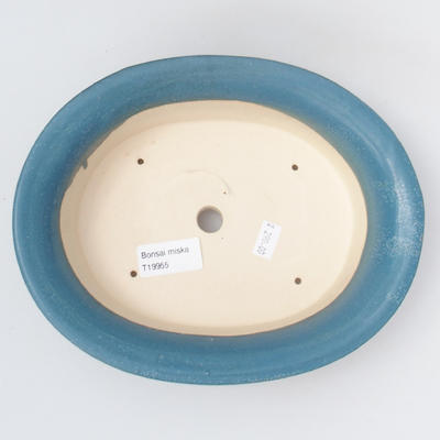 Keramik Bonsaischale 22 x 17,5 x 6,5 cm, Farbe blau - 3