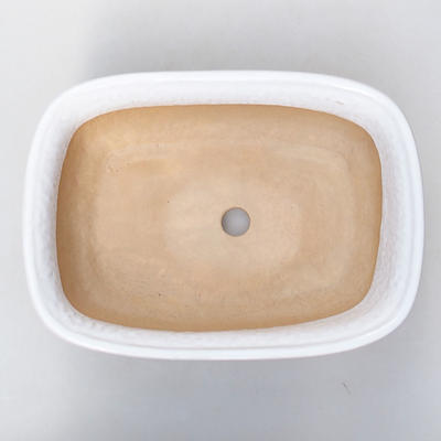 Bonsaischale aus Keramik H 08 - 24,5 x 18 x 7 cm, Weiß - 3