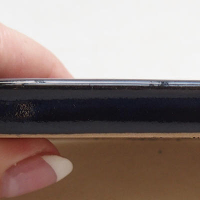 Bonsai Tablett H11 - 11 x 9,5 x 1 cm, schwarz glänzend - 3