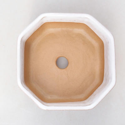 Keramik Bonsai Schüssel H 13 - 11,5 x 11,5 x 4,5 cm, Weiß - 3