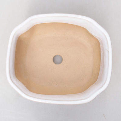 Bonsaischale aus Keramik H 31 - 14,5 x 12,5 x 6 cm, Weiß - 3