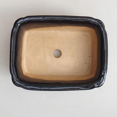 Bonsai-Schale H 50 - 16,5 x 12 x 6 cm, schwarz glänzend - 3