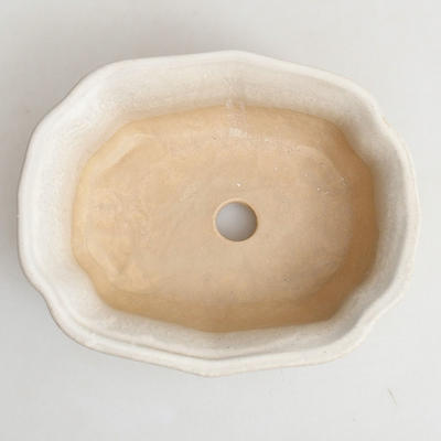Ceramic bonsai bowl H 51 - 17.5 x 13.5 x 5.5 cm, beige - 3