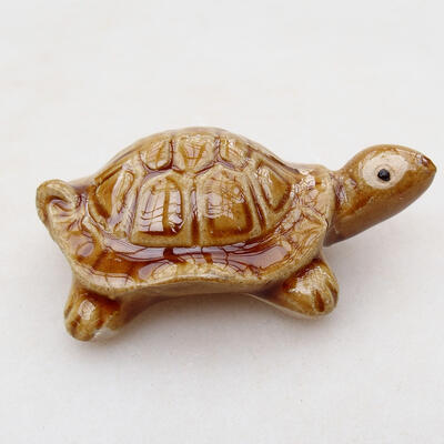 Keramikfigur - Schildkröte C6 - 3