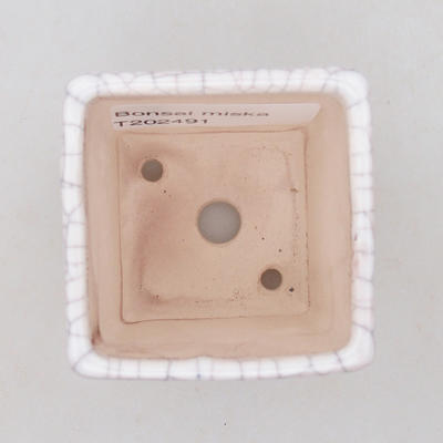 Mini Bonsai Schüssel 5 x 5 x 5 cm, Krebse Farbe - 3