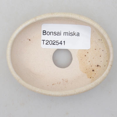 Mini Bonsai Schüssel 7,5 x 6 x 2 cm, beige Farbe - 3