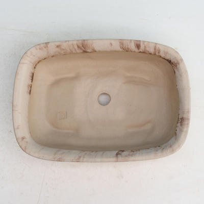 Bonsaischale aus Keramik H 08 - 24,5 x 18 x 7 cm, beige - 24,5 x 18 x 7 cm - 3