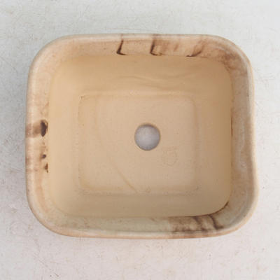 Bonsaischale aus Keramik H 36 - 17 x 15 x 8 cm, beige - 17 x 15 x 8 cm - 3