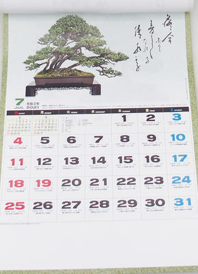 Bonsai Wandkalender 2021 - 3