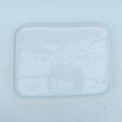 Bonsai-Schale und Tablett mit Wasser H 20, Weiß - 3