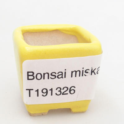 Mini Bonsai Schüssel 3 x 3 x 3 cm, gelbe Farbe - 4