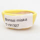 Mini Bonsai Schüssel 4,5 x 3 x 2 cm, gelbe Farbe - 4/4
