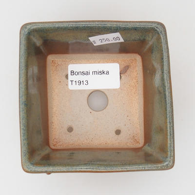 Keramik Bonsaischale - Hund - 4