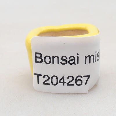 Mini Bonsai Schüssel 2 x 2 x 1,5 cm, Farbe gelb - 4