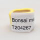 Mini Bonsai Schüssel 2 x 2 x 1,5 cm, Farbe gelb - 4/4