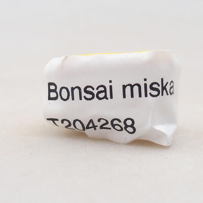 Mini Bonsai Schüssel 2,5 x 2 x 1,5 cm, Farbe gelb - 4