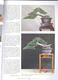 Bonsai und Japanische Gärten Nr.66 - 4/4