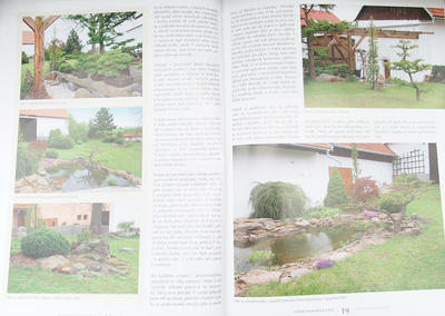 Bonsai und japanische Gärten No.59 - 4
