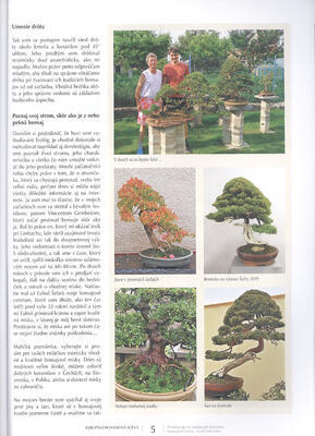 Bonsai und Japanische Gärten Nr.67 - 6